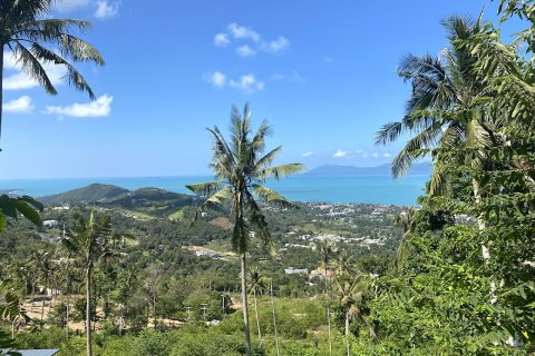 Grundstück in Ko Samui, Thailand 1600 m2 № 83042 - Foto 7