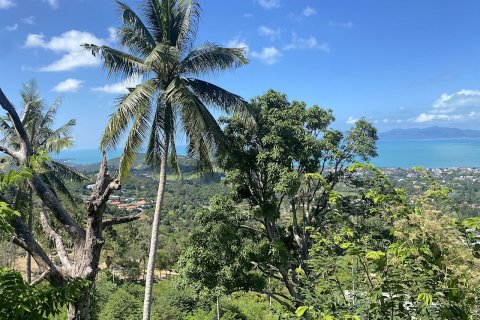 Grundstück in Ko Samui, Thailand 1600 m2 № 83042 - Foto 4