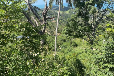 Grundstück in Ko Samui, Thailand 1600 m2 № 83042 - Foto 9