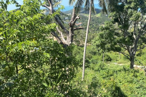 Grundstück in Ko Samui, Thailand 1600 m2 № 83042 - Foto 8