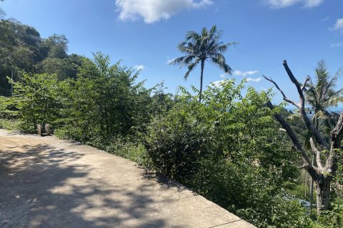 Grundstück in Ko Samui, Thailand 1600 m2 № 83042 - Foto 3