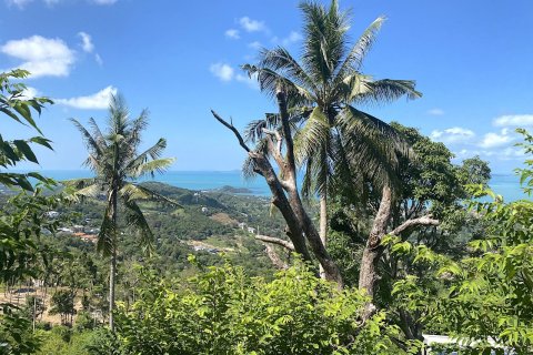 Grundstück in Ko Samui, Thailand 1600 m2 № 83042 - Foto 6