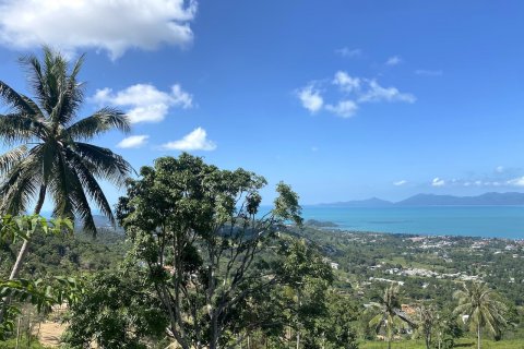 Grundstück in Ko Samui, Thailand 1600 m2 № 83042 - Foto 2