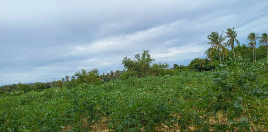 Land in Pattaya, Thailand № 125798