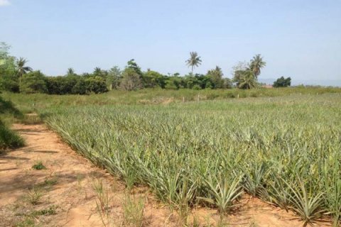 Terreno en Hua Hin, Tailandia № 125250 - foto 7