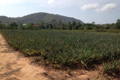 Land in Hua Hin, Thailand № 125250