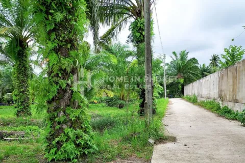 Grundstück in Phuket, Thailand № 131615