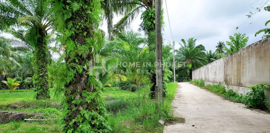 ที่ดินในภูเก็ต, ประเทศไทย № 131615