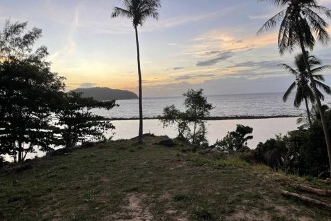 Land in Surat Thani, Thailand № 115818