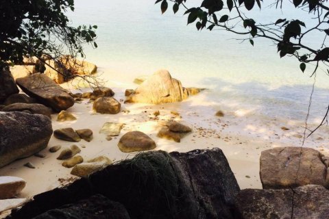 Terreno en Surat Thani, Tailandia № 115818 - foto 5