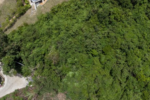 Grundstück in Ko Samui, Thailand 719 m2 № 83039 - Foto 5