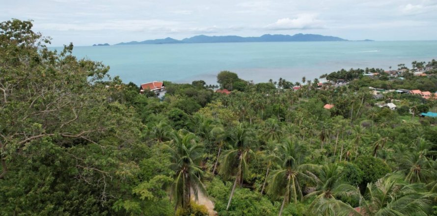 Grundstück in Ko Samui, Thailand 872 m2 № 83041