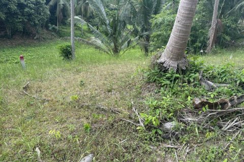 Terreno en Surat Thani, Tailandia № 132450 - foto 2