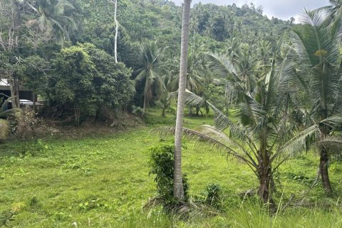 Terreno en Surat Thani, Tailandia № 132450 - foto 4