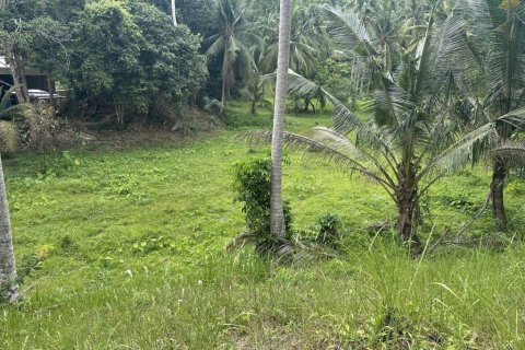 Terreno en Surat Thani, Tailandia № 132450 - foto 3
