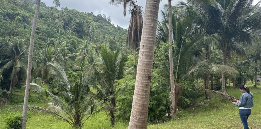 Terreno en Surat Thani, Tailandia № 132450
