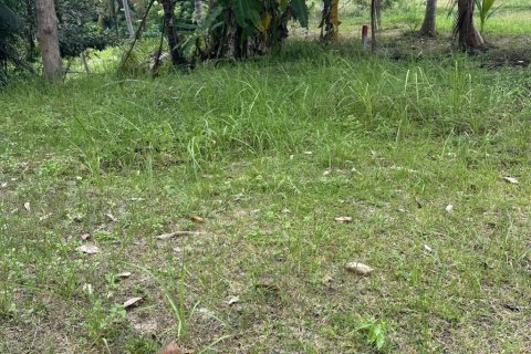 Terreno en Surat Thani, Tailandia № 132450 - foto 6