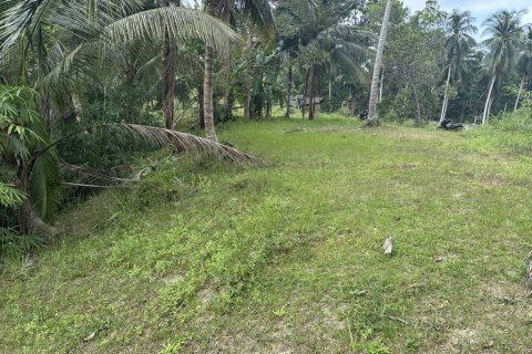 Terreno en Surat Thani, Tailandia № 132450 - foto 5