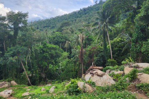 Grundstück in Ko Samui, Thailand № 119097 - Foto 3