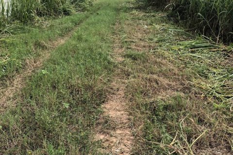 Terreno en Bang Sare, Tailandia № 75988 - foto 4