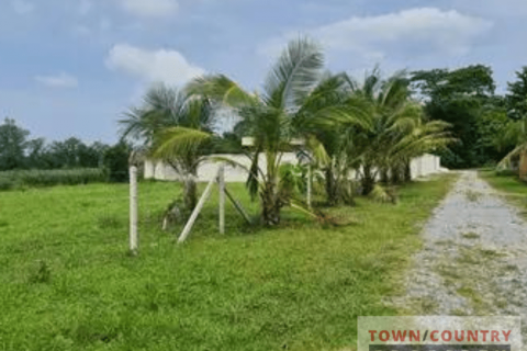 Land in Bang Lamung, Thailand 1560 sq.m. № 111953 - photo 4