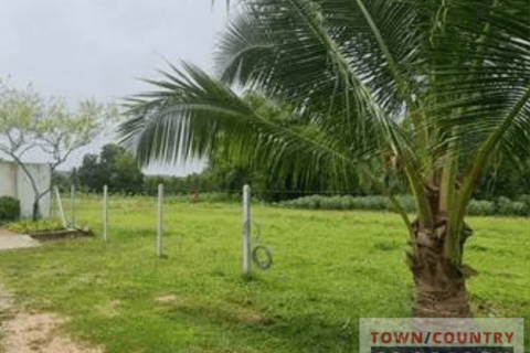 Land in Bang Lamung, Thailand 1560 sq.m. № 111953 - photo 3