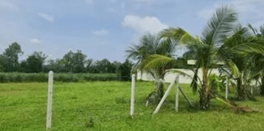 Land in Bang Lamung, Thailand 1560 sq.m. № 111953