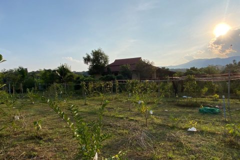 House in Chiang Mai, Thailand 4 bedrooms № 80877 - photo 26