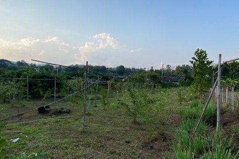 House in Chiang Mai, Thailand 4 bedrooms № 80877 - photo 30