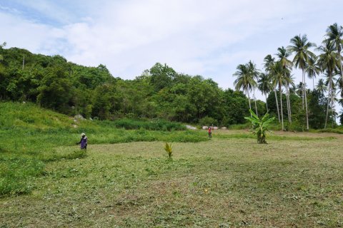 Grundstück in Ko Samui, Thailand № 126828 - Foto 7