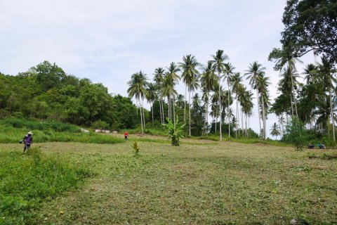 Grundstück in Ko Samui, Thailand № 126828 - Foto 8