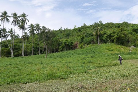 Grundstück in Ko Samui, Thailand № 126828 - Foto 4
