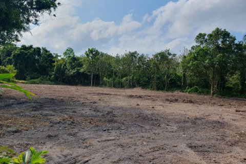 Land in Ko Samui, Thailand № 123102