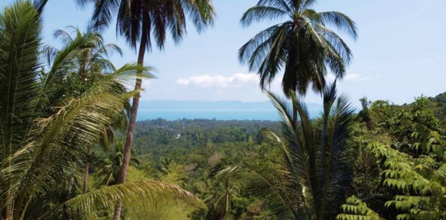 Terreno en Surat Thani, Tailandia № 115898