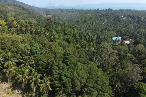 Terreno en Surat Thani, Tailandia № 115898 - foto 3