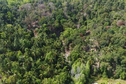 Terreno en Surat Thani, Tailandia № 115898 - foto 4