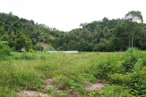 Land in Ko Samui, Thailand № 126827 - photo 3