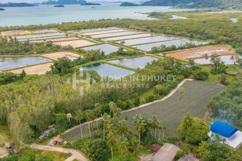 Terreno en Phuket, Tailandia № 131248 - foto 9