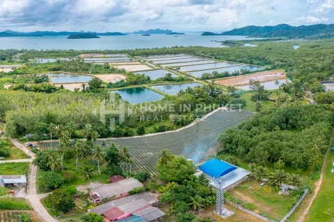 Terreno en Phuket, Tailandia № 131248