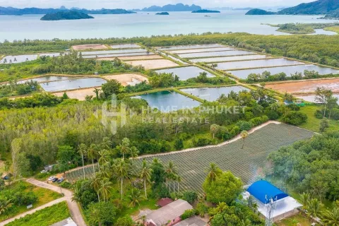 Terreno en Phuket, Tailandia № 131248 - foto 8