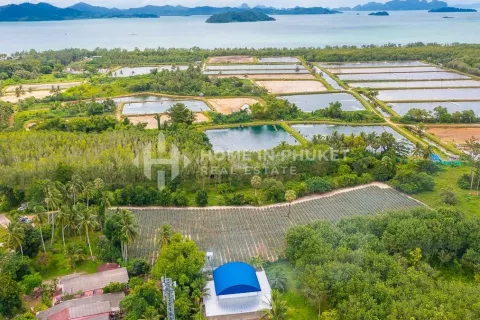 Terreno en Phuket, Tailandia № 131248 - foto 7
