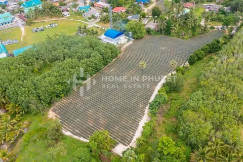 Terreno en Phuket, Tailandia № 131248 - foto 4