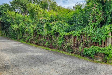 Terreno en Chiang Mai, Tailandia № 126333 - foto 2