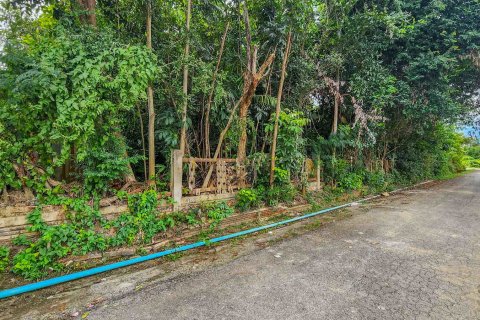 Terreno en Chiang Mai, Tailandia № 126333 - foto 3