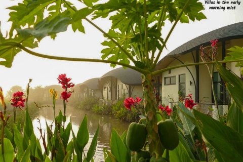 Hotel 3200 m2 en Chiang Mai, Tailandia № 126335 - foto 22