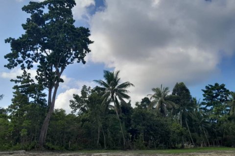 Terreno en Surat Thani, Tailandia № 115810 - foto 7
