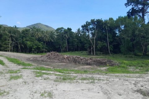 Terreno en Surat Thani, Tailandia № 115810 - foto 5