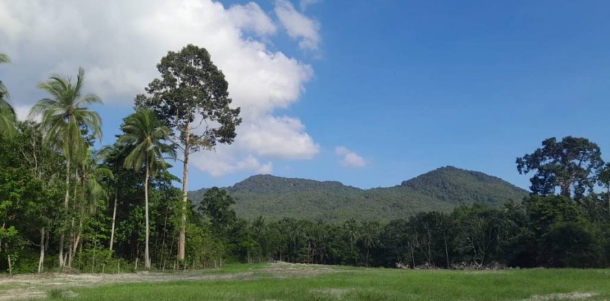 Terreno en Surat Thani, Tailandia № 115810