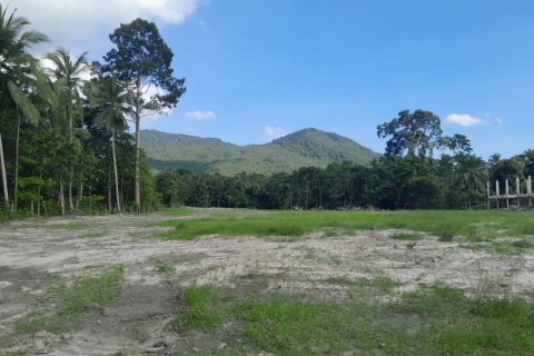 Terreno en Surat Thani, Tailandia № 115810 - foto 3