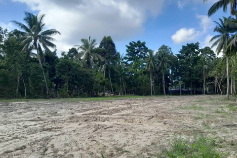Terreno en Surat Thani, Tailandia № 115810 - foto 10